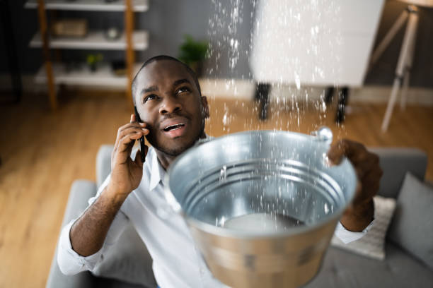 Best Water damage restoration specialists  in Plainview, TX