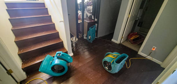 Best Flood restoration services  in Plainview, TX