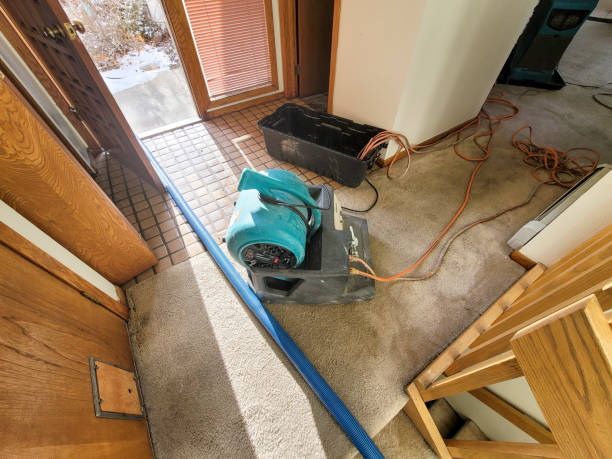  Plainview, TX Water damage restoration Pros