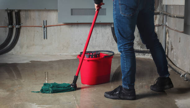 Best Water damage contractors near me  in Plainview, TX