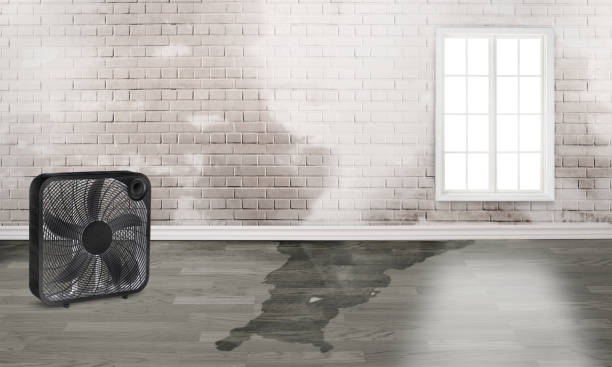 Reliable Plainview, TX Water damage restoration Solutions