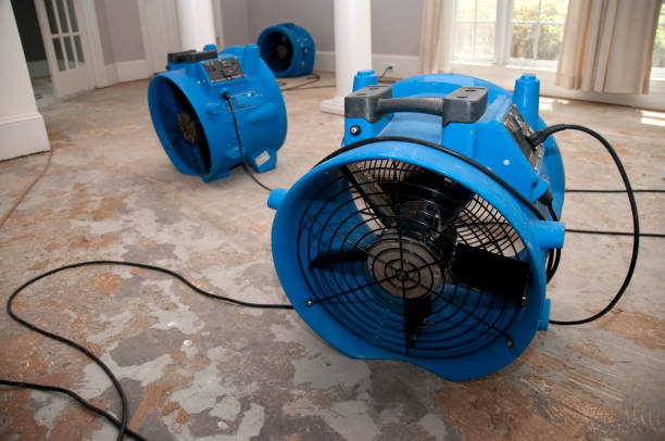 Best Local water damage restoration  in Plainview, TX