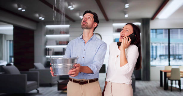 Best Ceiling water damage repair  in Plainview, TX
